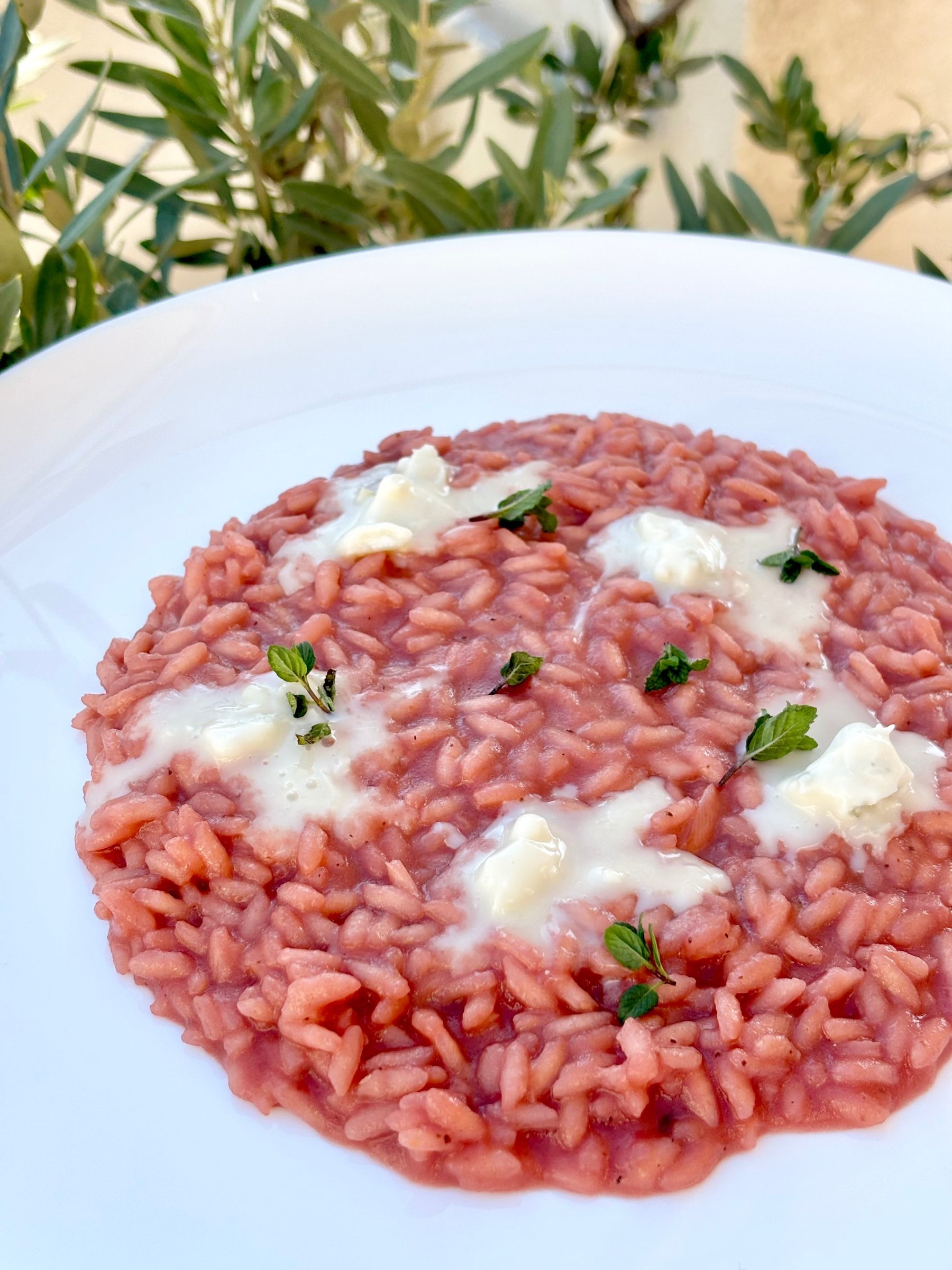 Risotto alla barbabietola rossa con gorgonzola e mentuccia
